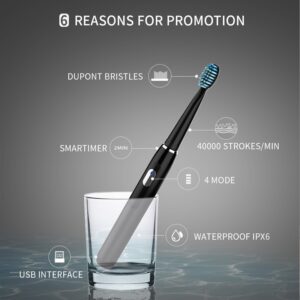 Seago Sonic Rechargeable Electric Toothbrush with 3 Replacement Brush Heads 2 Minutes Timer & 4 Brushing Modes Waterproof SG551 2